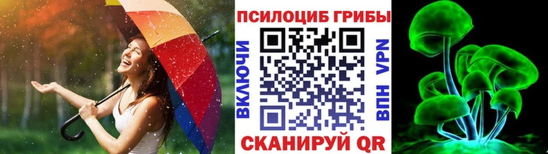 МЕГА tor Короча Галлюциногенные грибы Cubensis