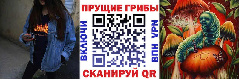 Псилоцибиновые грибы Magic Shrooms Короча
